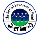 THE SOCIAL INVESTMENT FUND